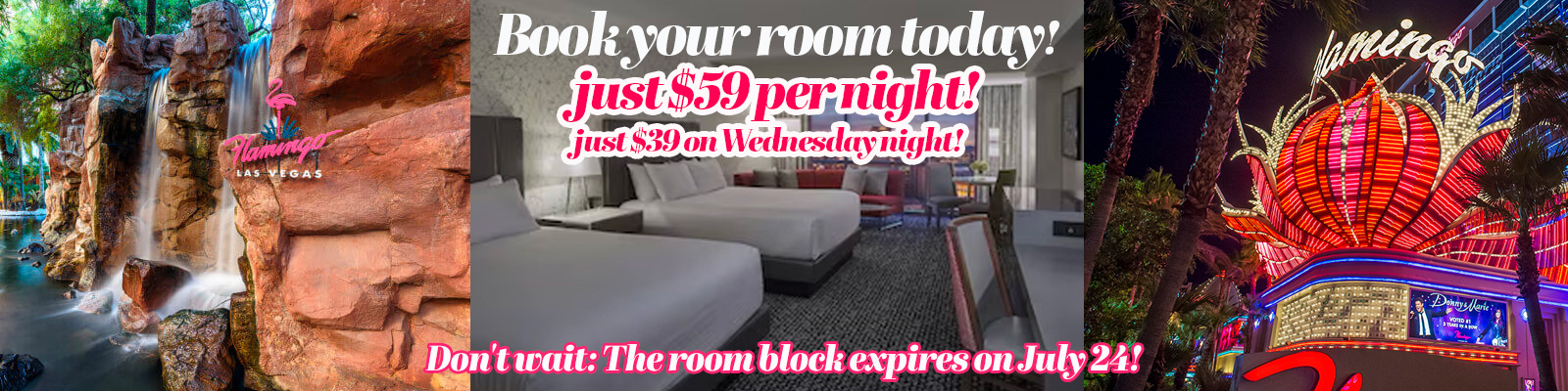 Book your room today!